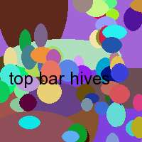 top bar hives